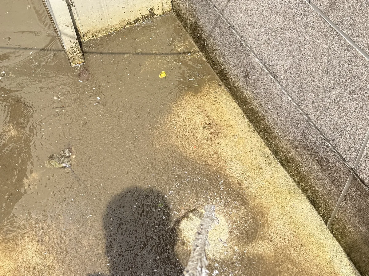 부여군 구룡면 침수 현장 복도·대기 동선 야간 위생청소 사례 - 행진크린